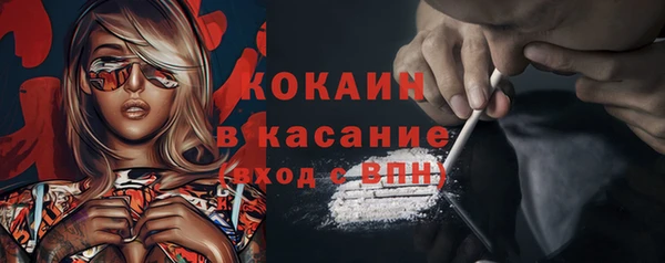мяу мяу мука Алексеевка