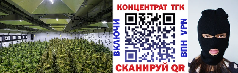 купить наркоту  Монино  blacksprut ссылка  ТГК жижа 